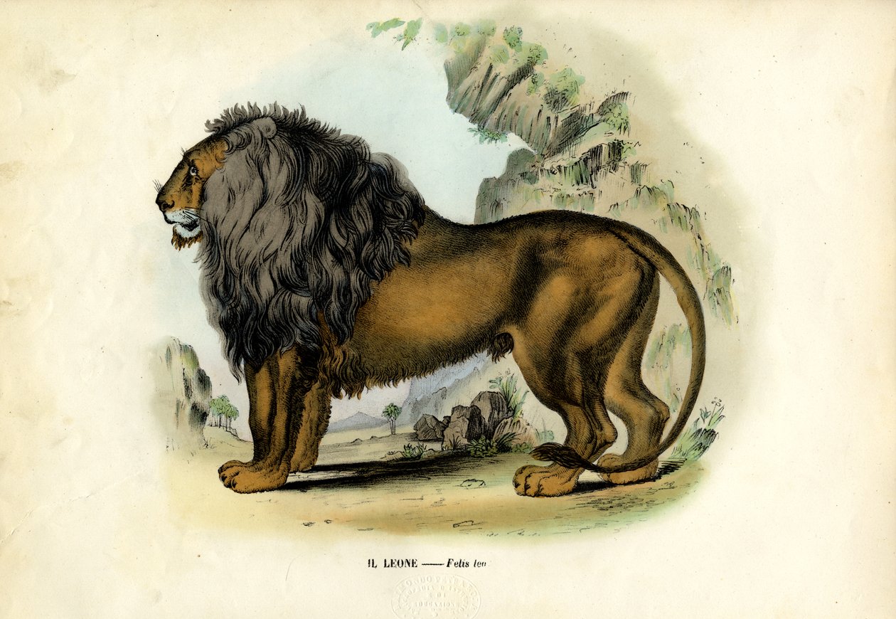 Aslan, 1863-79 by Raimundo Petraroja