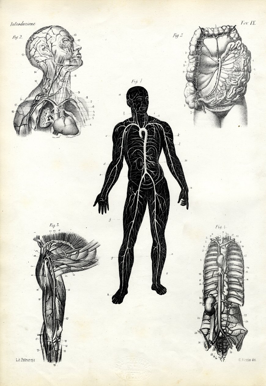 Kaslar, 1863-79 by Raimundo Petraroja