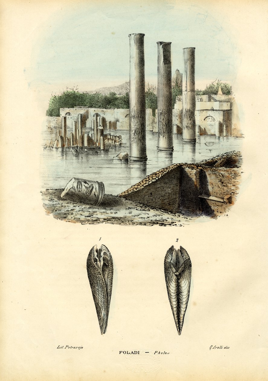 Midye, 1863-79 by Raimundo Petraroja