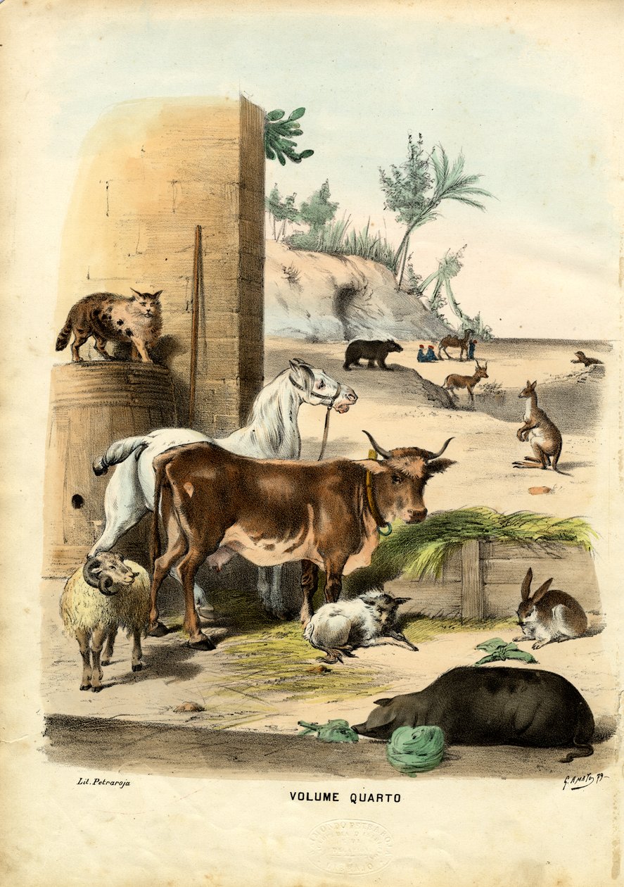 Başlık Sayfası, 1863-79 by Raimundo Petraroja
