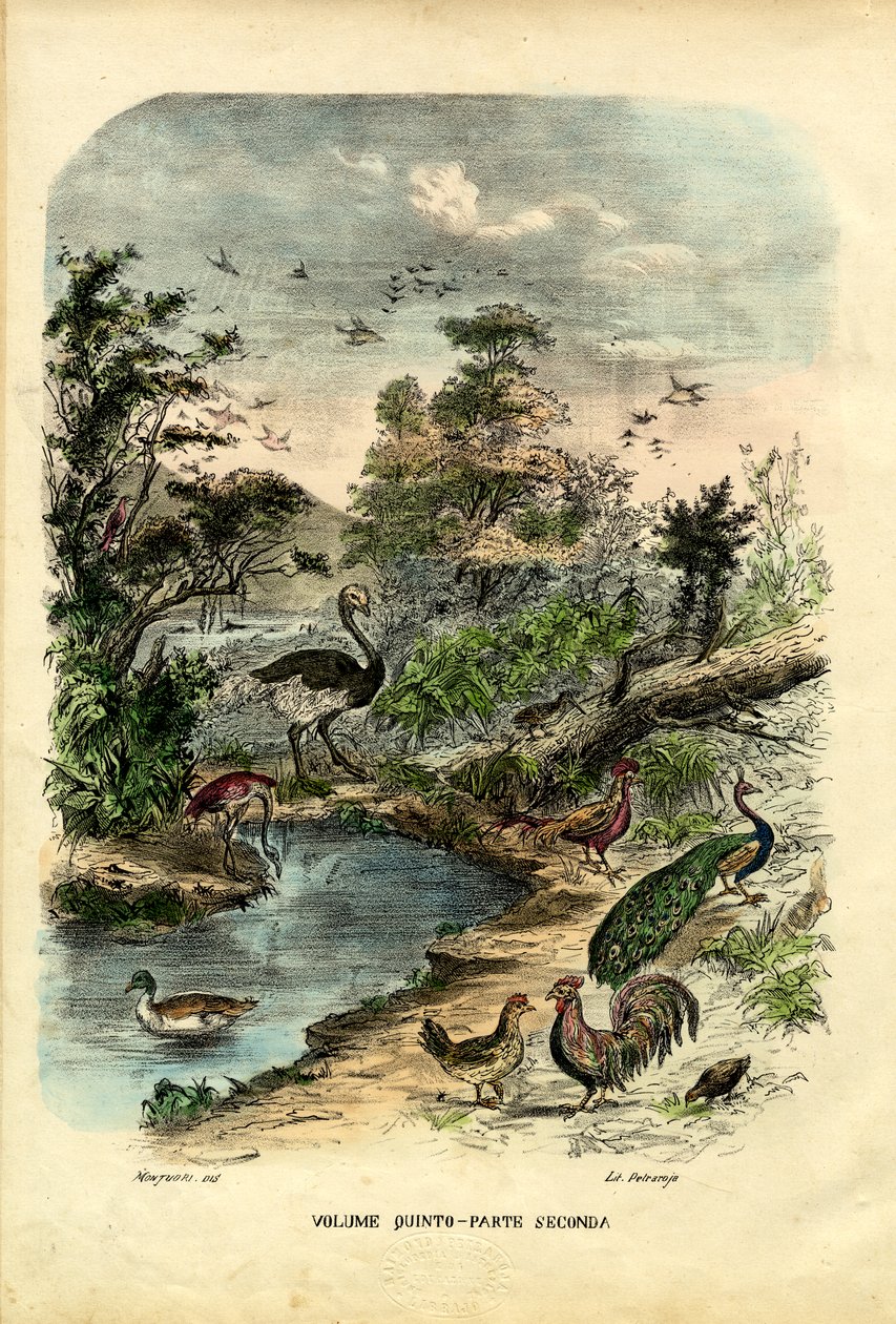 Başlık Sayfası, 1863-79 by Raimundo Petraroja