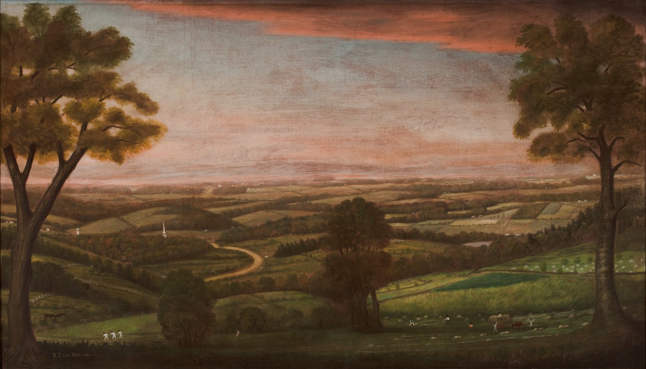 Denny Hill