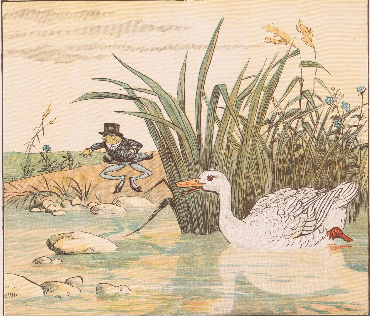 Zambak beyaz bir ördek onu yuttu by Randolph Caldecott