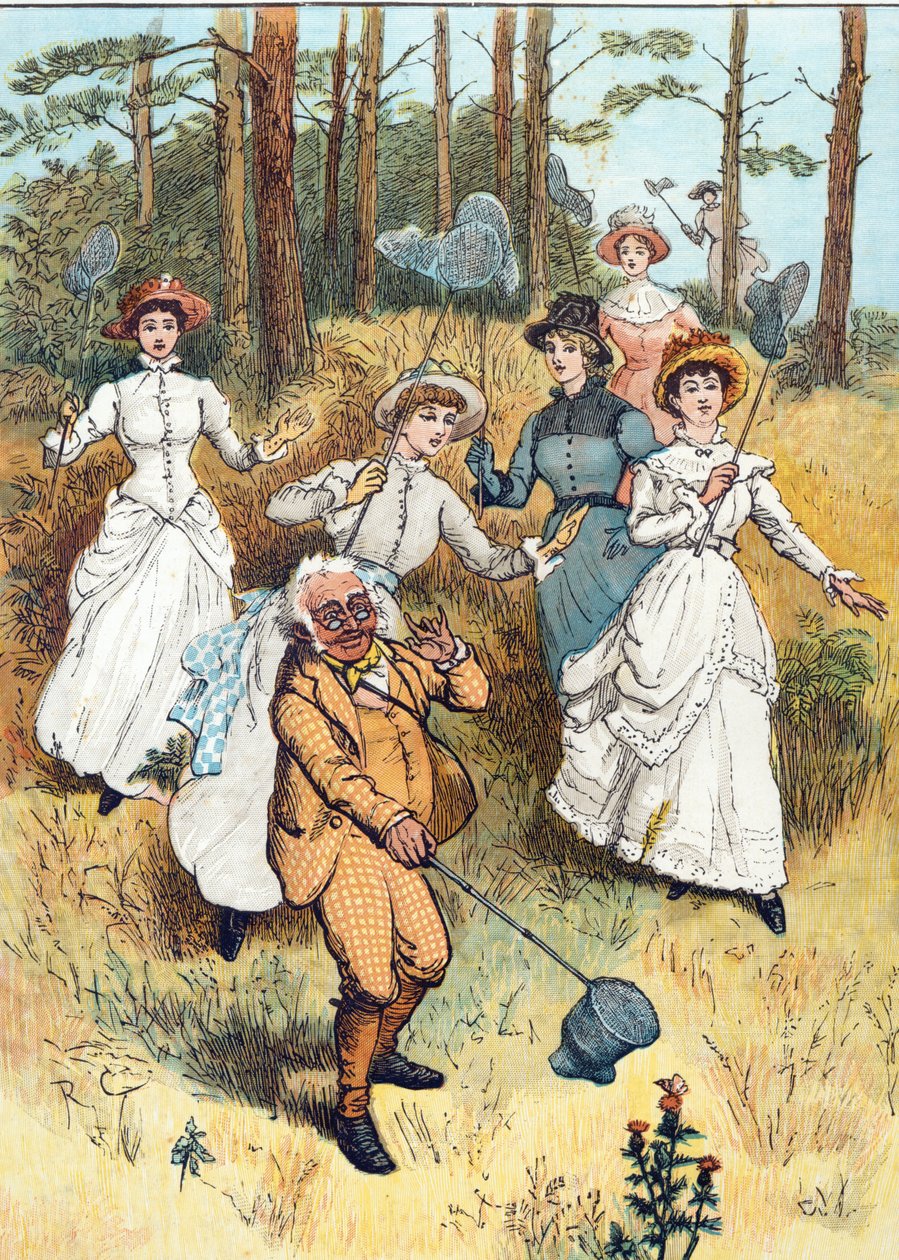 Ҷаноби Уилям Хост, с.1833 туркӣ by Randolph Caldecott