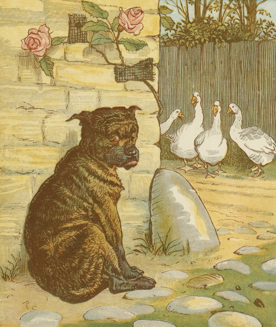 Jack'in Yaptığı Ev '' birikimli tekerleme. Kediyi endişelendiren köpek.... İllüstrasyon: Randolph Caldecott. by Randolph Caldecott
