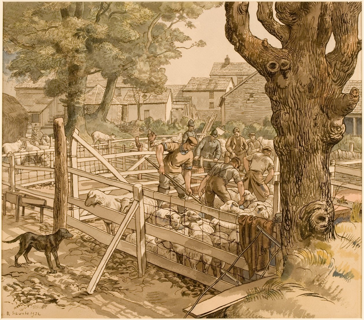Koyun Daldırma, Cornwall by Randolph Schwabe