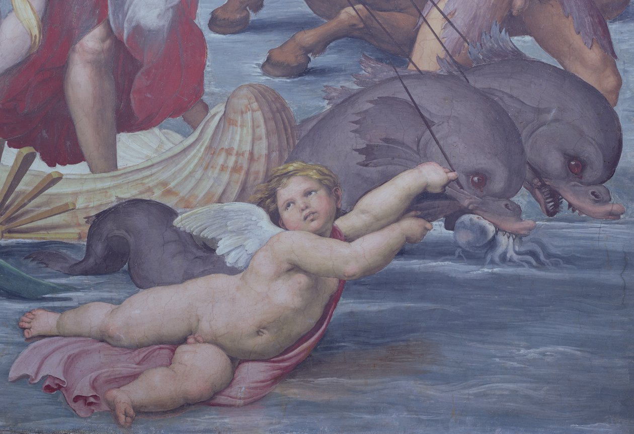 Galatea, putto ve yunus detayı, 56473 1506 fresk detayı by Raffaello Sanzio Raphael