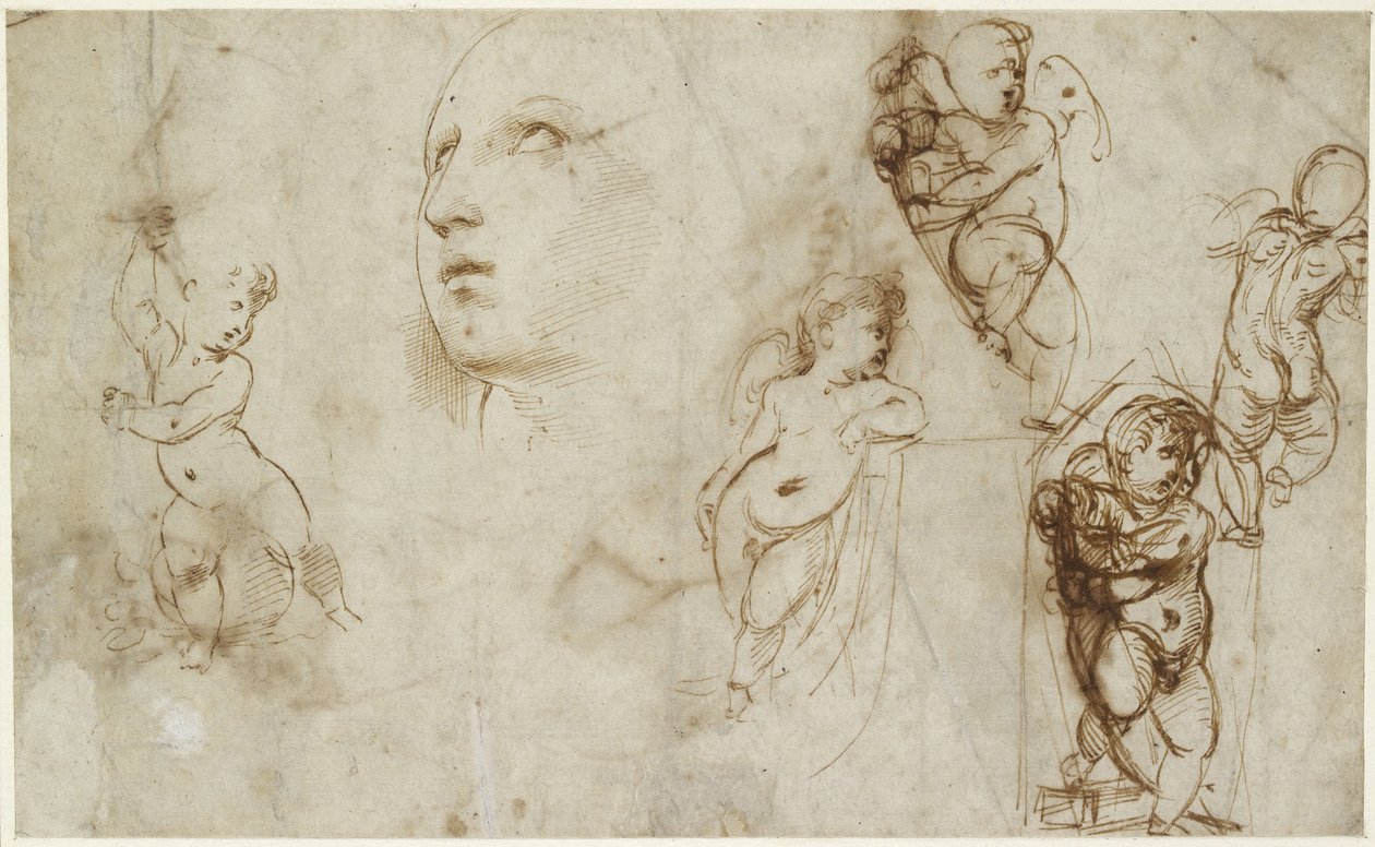Recto: Borghese-Beckford St Catherine ve çeşitli putti için bir dişi kafa, WA1846.177 by Raffaello Sanzio Raphael