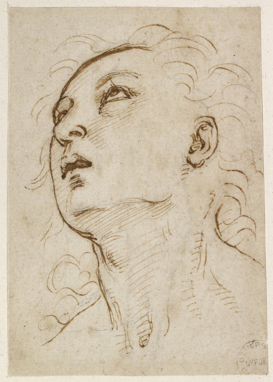 Recto: Yukarı bakan genç bir adamın başı, WA1846.156 by Raffaello Sanzio Raphael