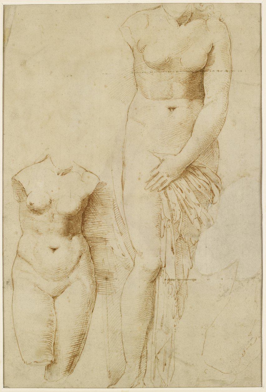 Recto: İki Afrodit Figürü. Verso: Erkek Figür Hareket Halinde, WA1846.261 by Raffaello Sanzio Raphael