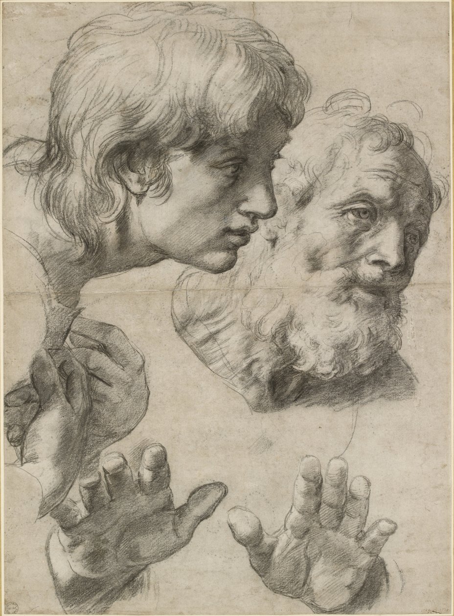 İki havarinin başlarının ve ellerinin incelenmesi, WA1846.209 by Raffaello Sanzio Raphael