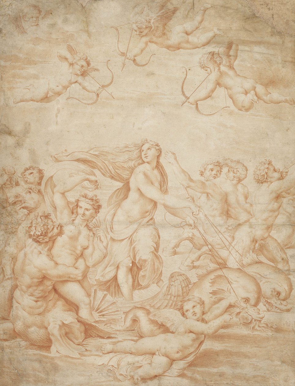 Galatea