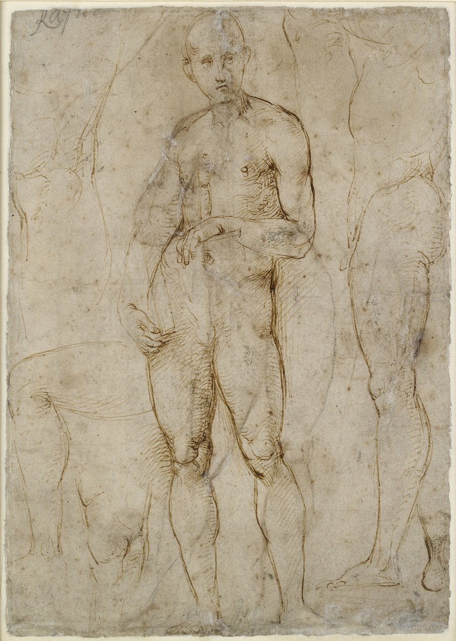 Verso: Bir St Paul için Çıplak Çalışma, WA1846.163 by Raffaello Sanzio Raphael