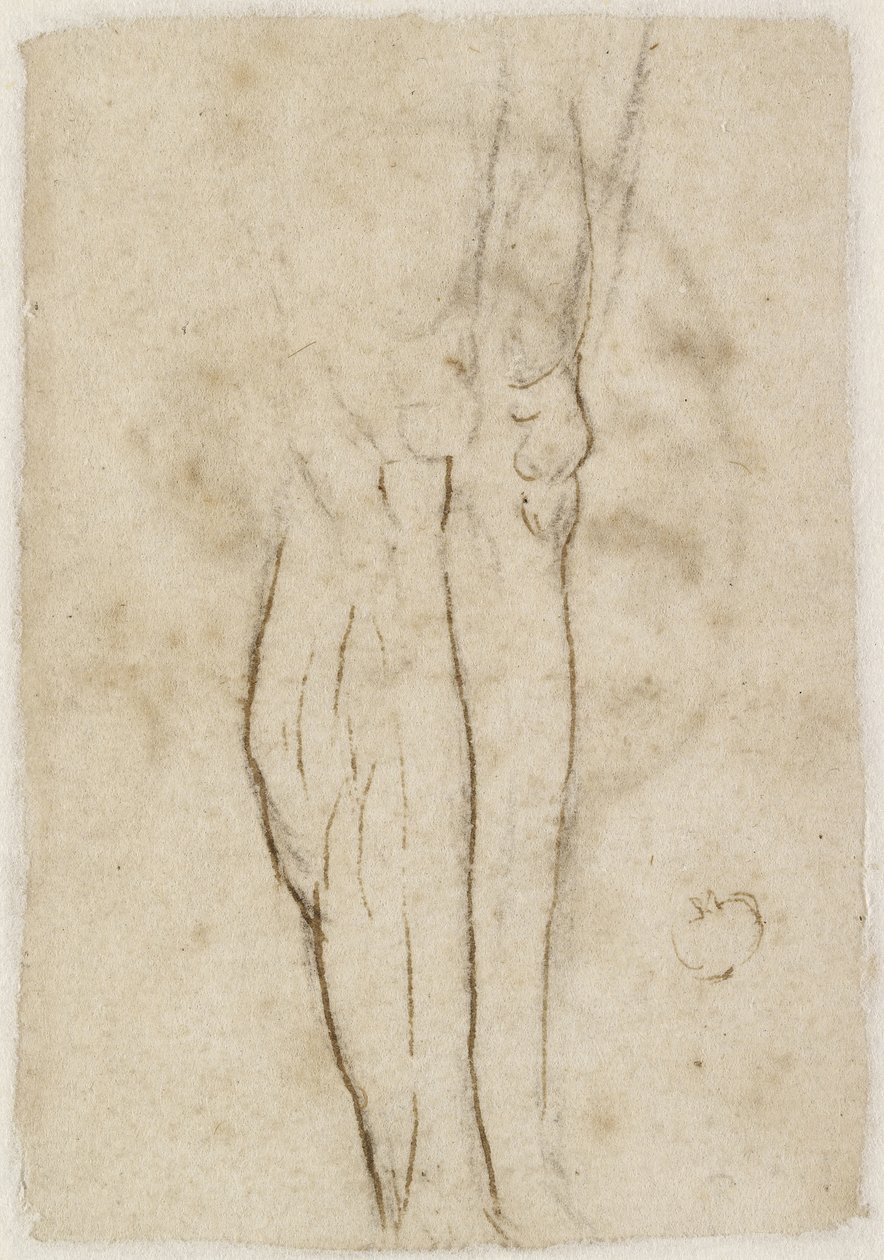 Verso: Bir çift Bacak çizimi, WA1846.156 by Raffaello Sanzio Raphael