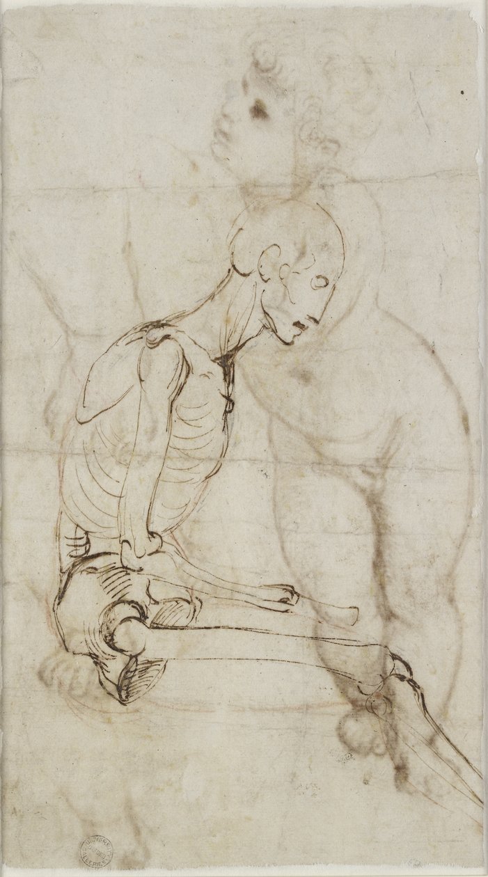 Verso: Bir İskelet Çalışması, WA1855.91 by Raffaello Sanzio Raphael