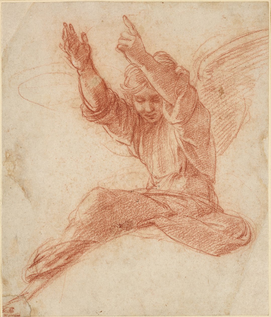 Bir Melek, WA1846.208 (kör bir kalem üzerinde kırmızı tebeşir) by Raffaello Sanzio Raphael