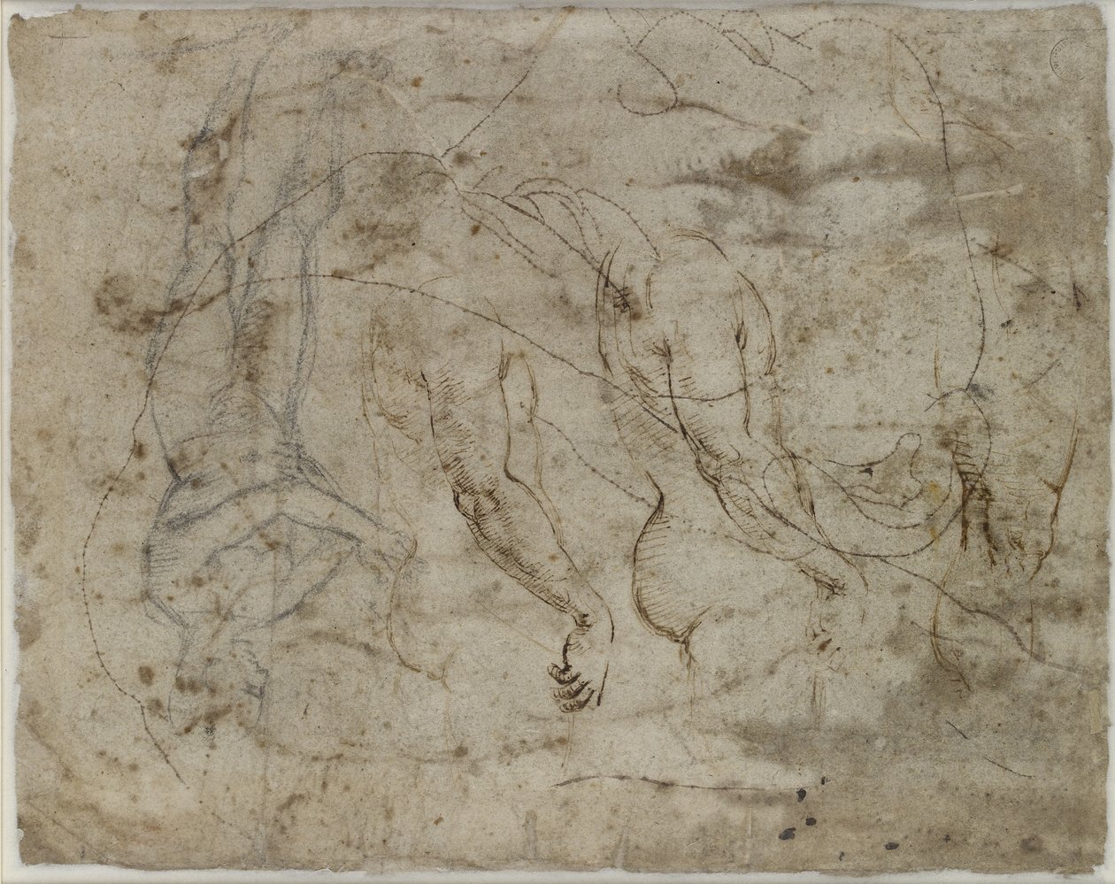 Verso: iki kol çalışması, yukarı bakan bir profil ve ayakta duran bir figür, WA1846.164 (kalem ve mürekkep, siyah tebeşir, transfer için dikilen profil) by Raffaello Sanzio Raphael