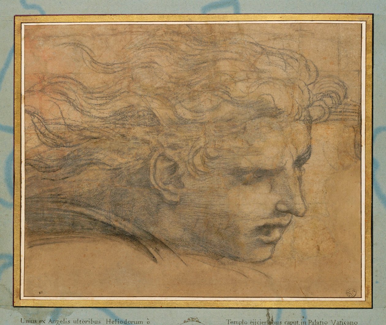 Genç bir adamın başı, dörtte üçü sağa doğru ... by Raphael (1483-1520)