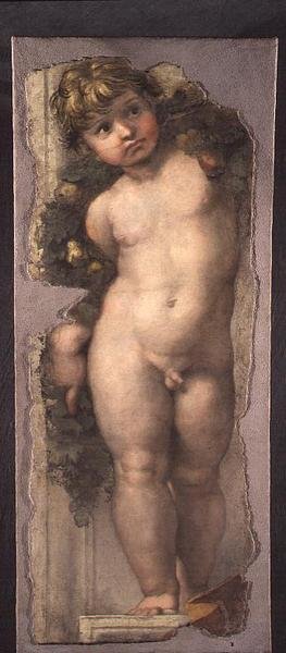 Festoonlu Putto (fresk parçası) by Raphael