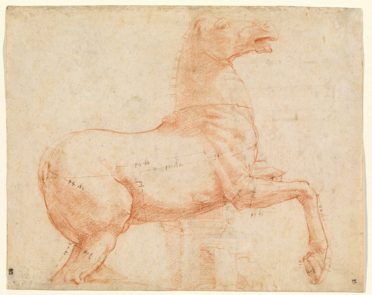 Quirinal Tepesinde Bir Mermer At (rekto), c.1513 (kırmızı tebeşir, kalem, kahverengi mürekkep, kurşun kalem ve kalem) by Raphael (1483 1520)