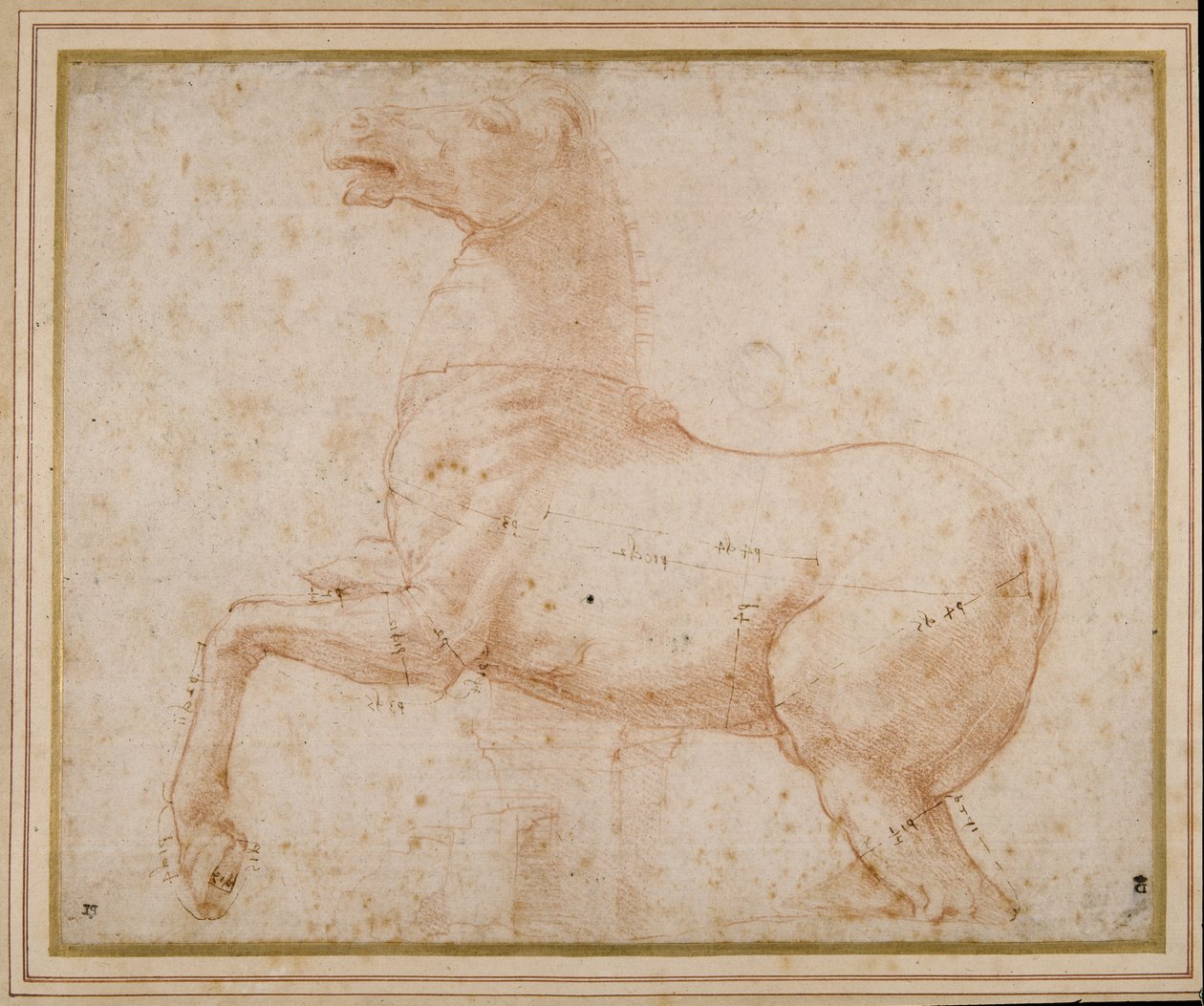 Bir at çalışması (kağıt üzerinde kalem ve mürekkep ve kurşun kalem) by Raphael