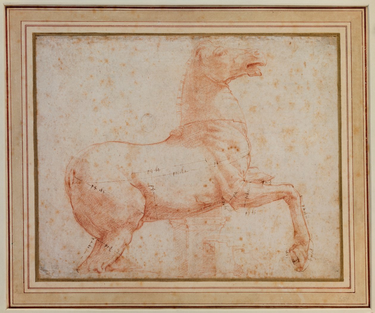 Quirinal mermer atlarından birinin incelenmesi (stylus göstergeleri üzerinde kırmızı tebeşir) by Raphael