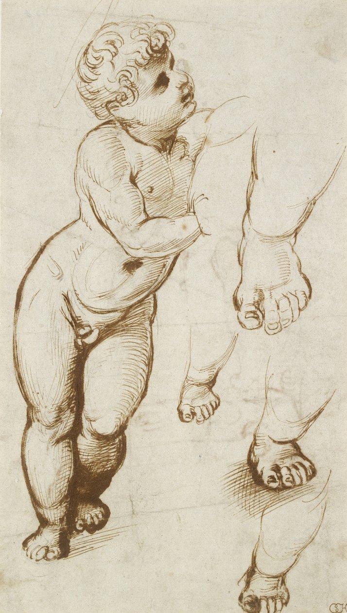 The Infant Christ and other Studies (beyaz kağıt üzerinde, kurşun noktasındaki ön göstergeler üzerine kalem ve koyu kahverengi mürekkep) by Raphael