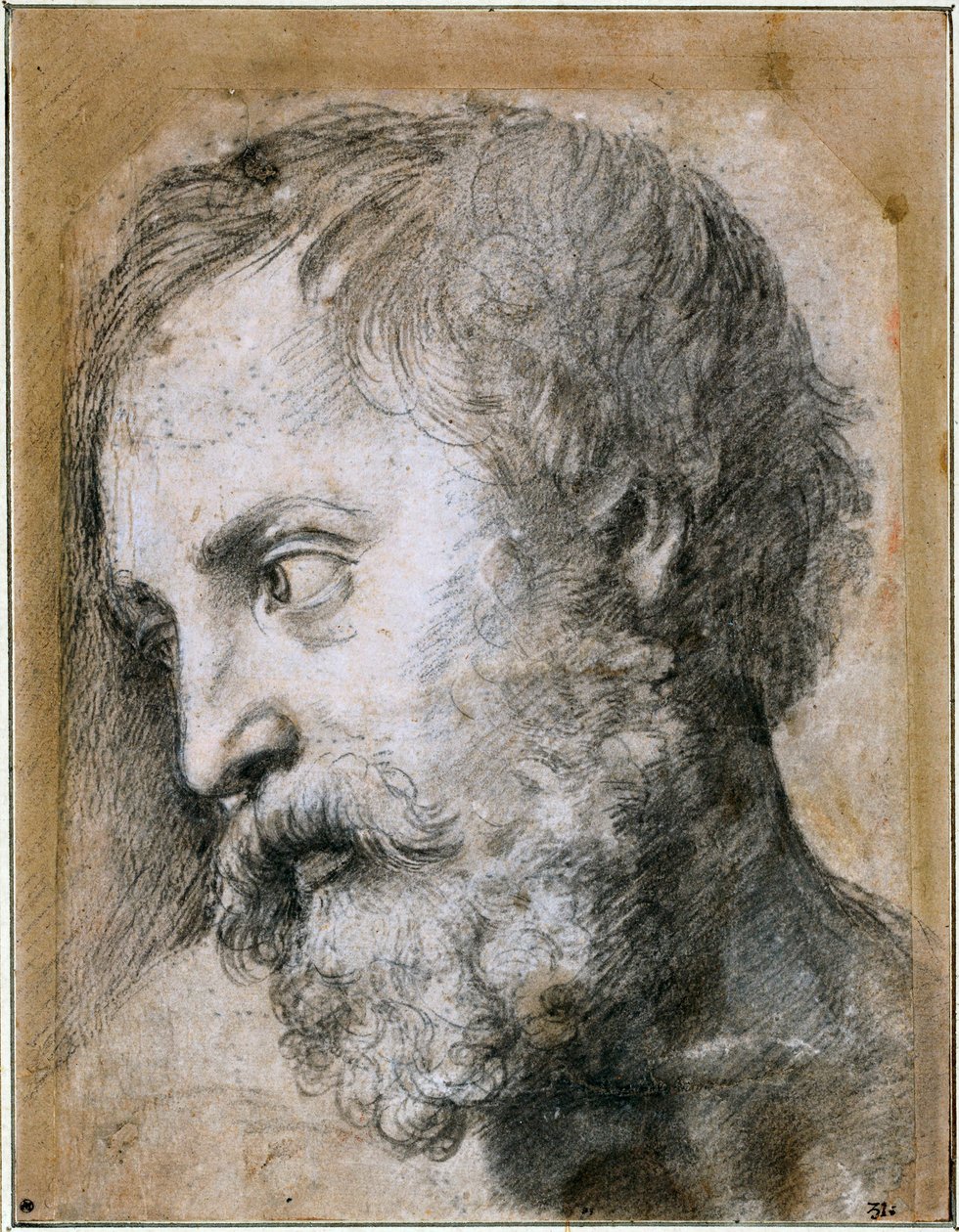 Başkalaşım için Bir Havari Çalışması Başkanı, 1519-1520 by Raffaello Sanzio Raphael