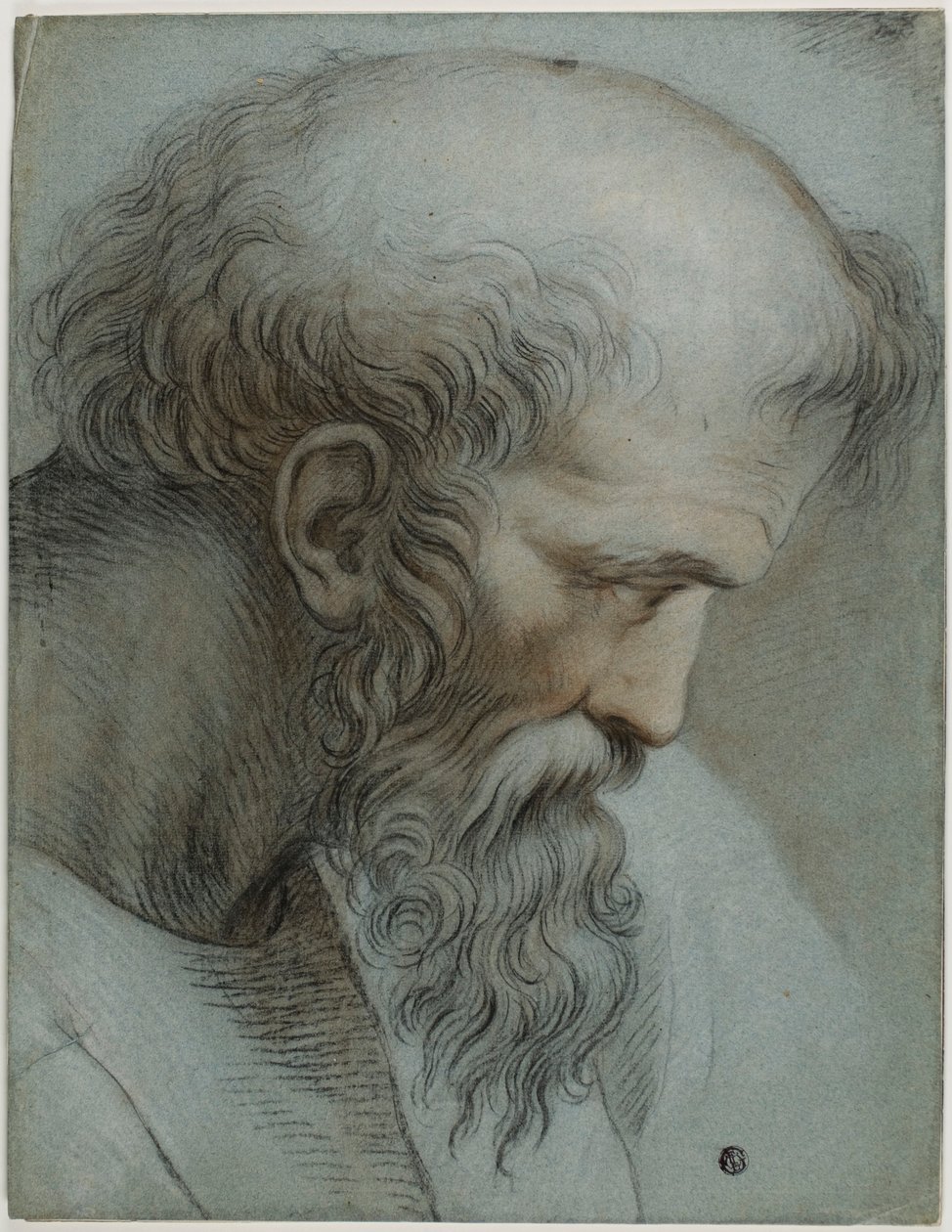 Pisagor Başkanı by Raphael