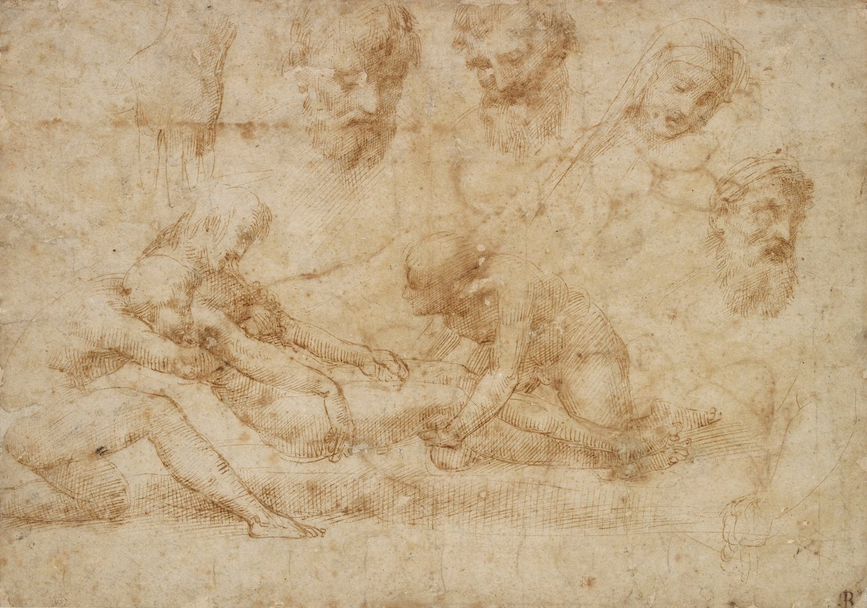 Bir Biriktirme Çalışmaları, 16. yüzyılın başlarında by Raphael