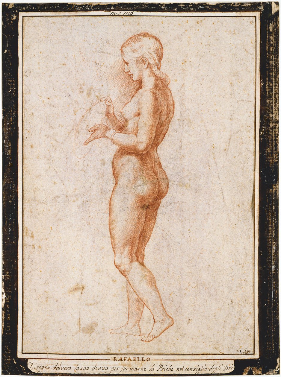 Profildeki genç kadın figürü, yaklaşık 1517. by Raphael