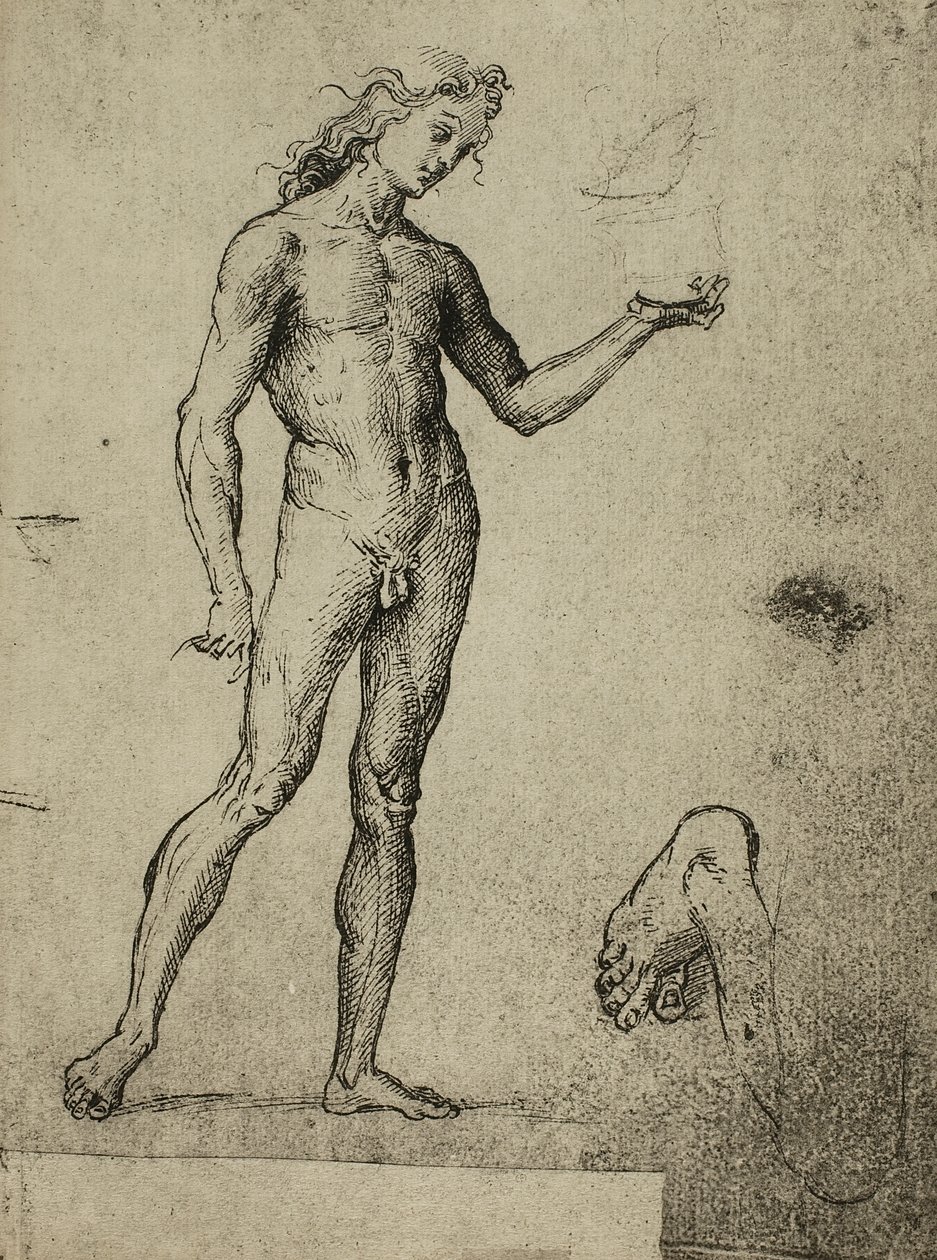 Erkek çıplak çalışma; Raphael