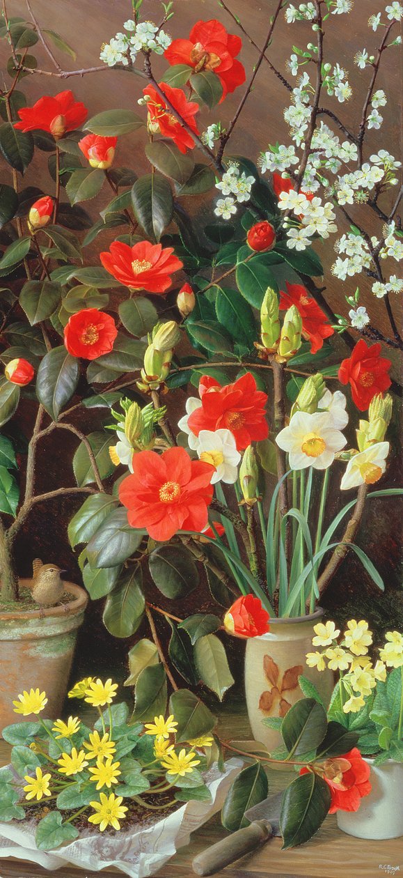  by Raymond Booth