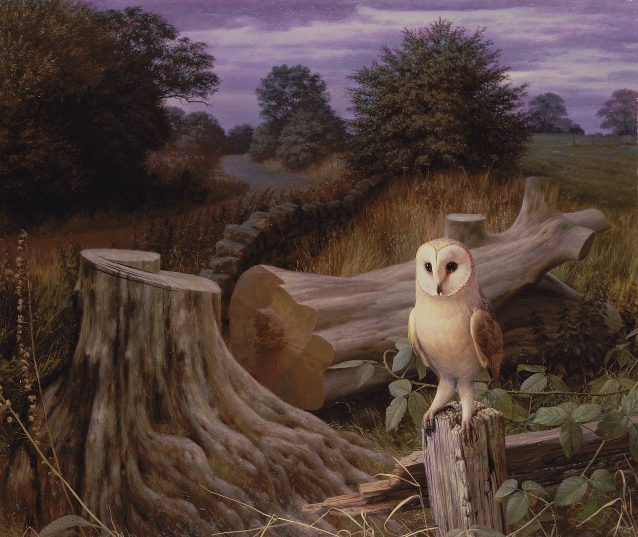  by Raymond Booth
