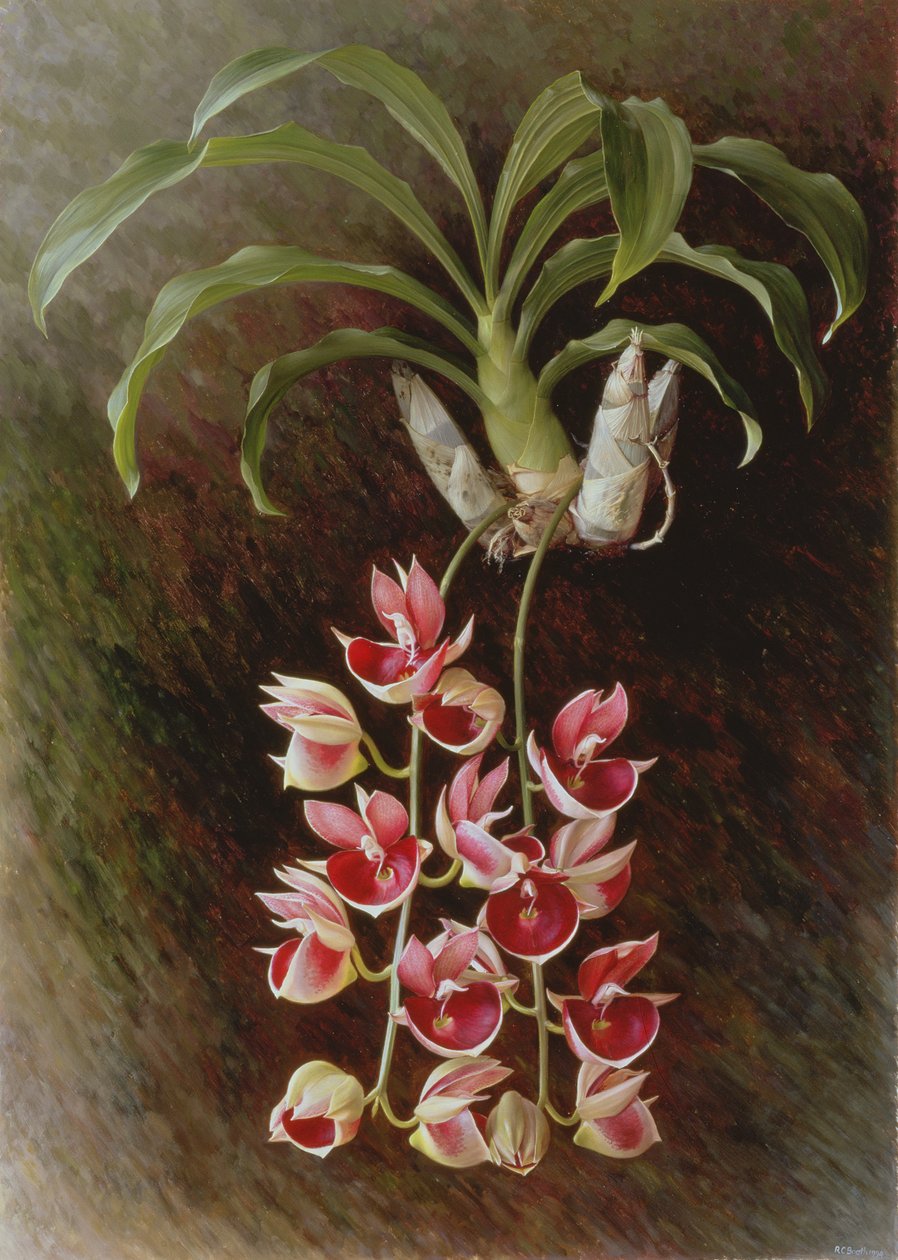  by Raymond Booth