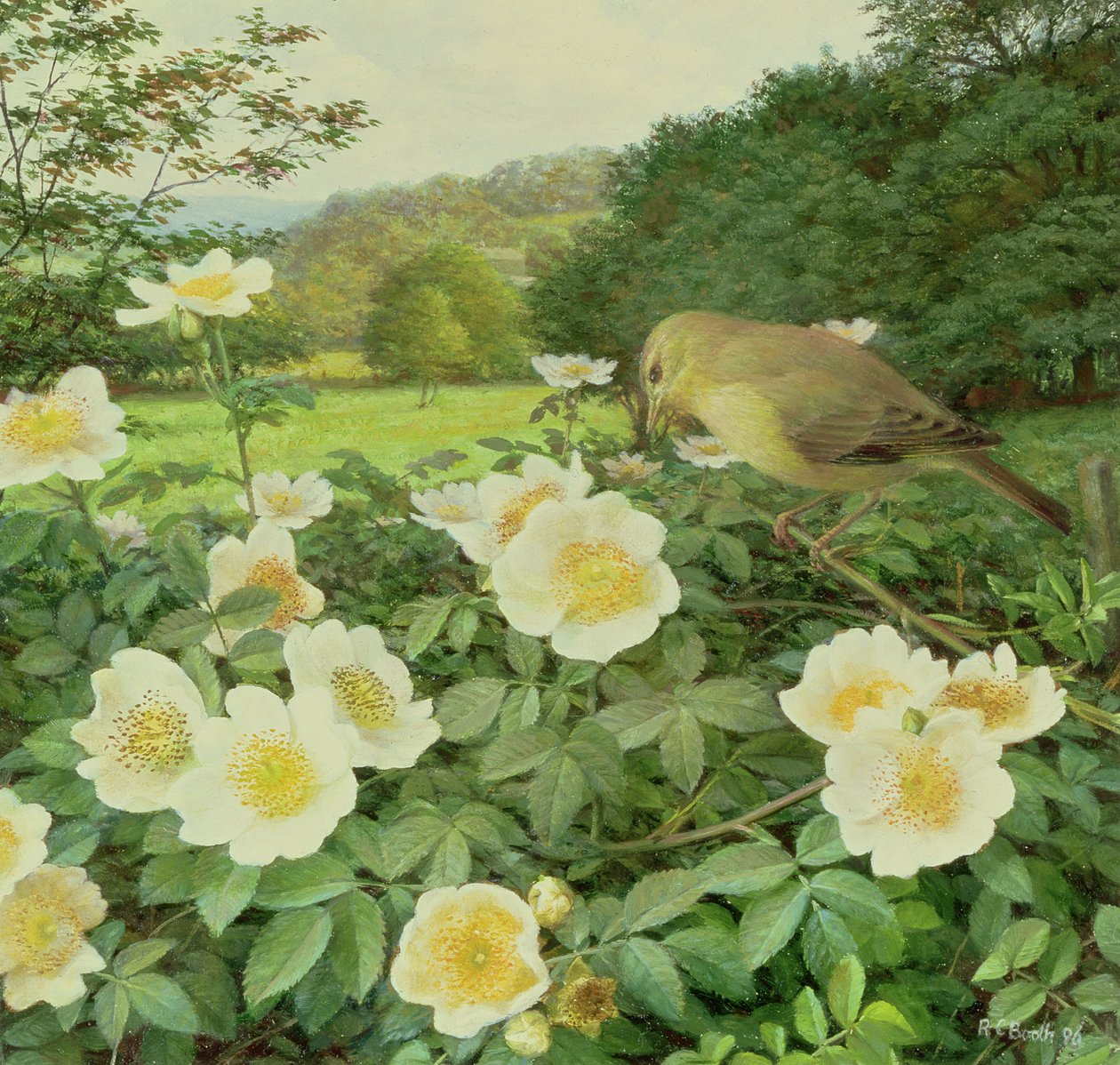  by Raymond Booth
