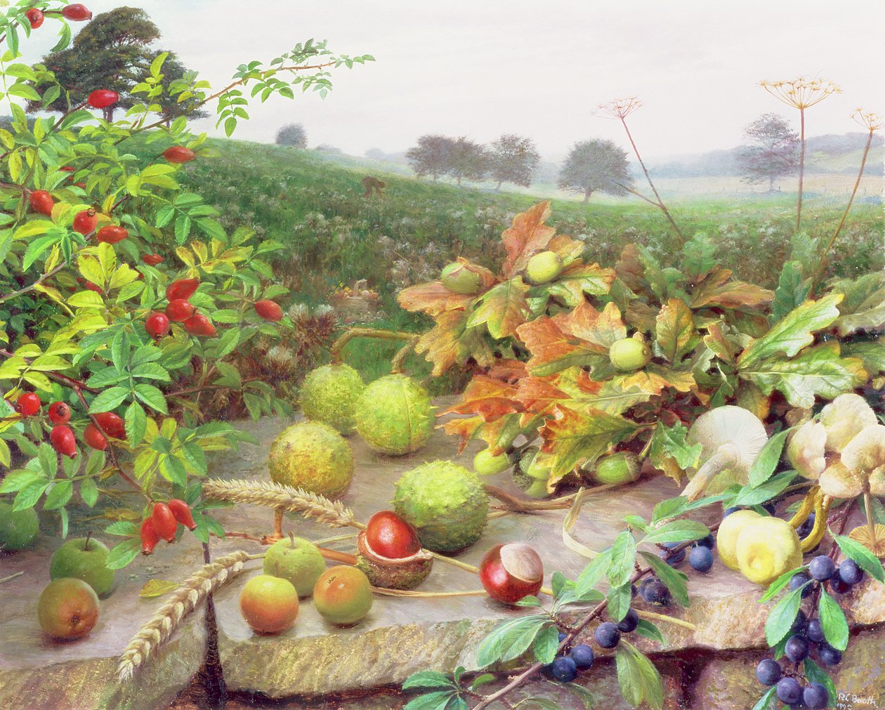  by Raymond Booth