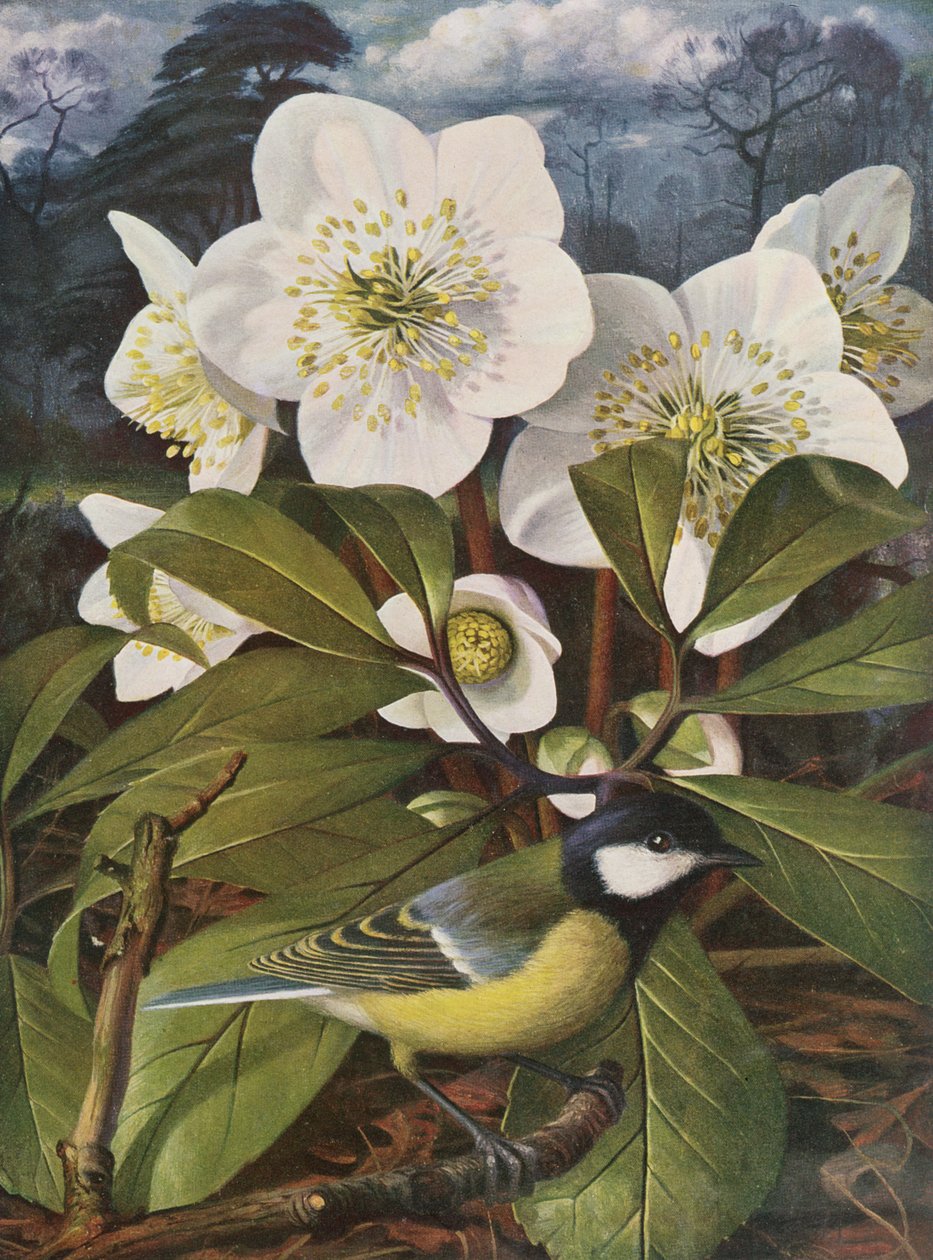  by Raymond Booth