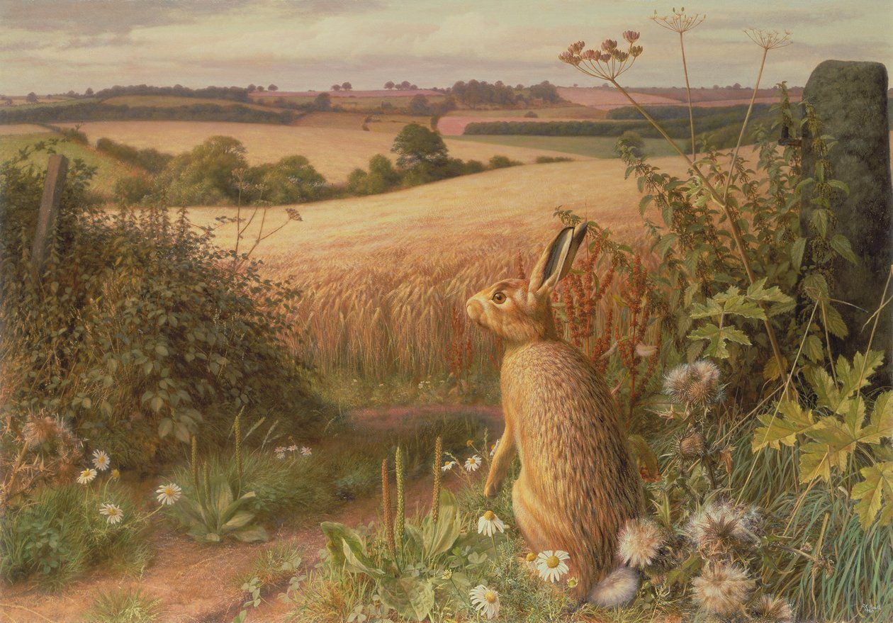  by Raymond Booth