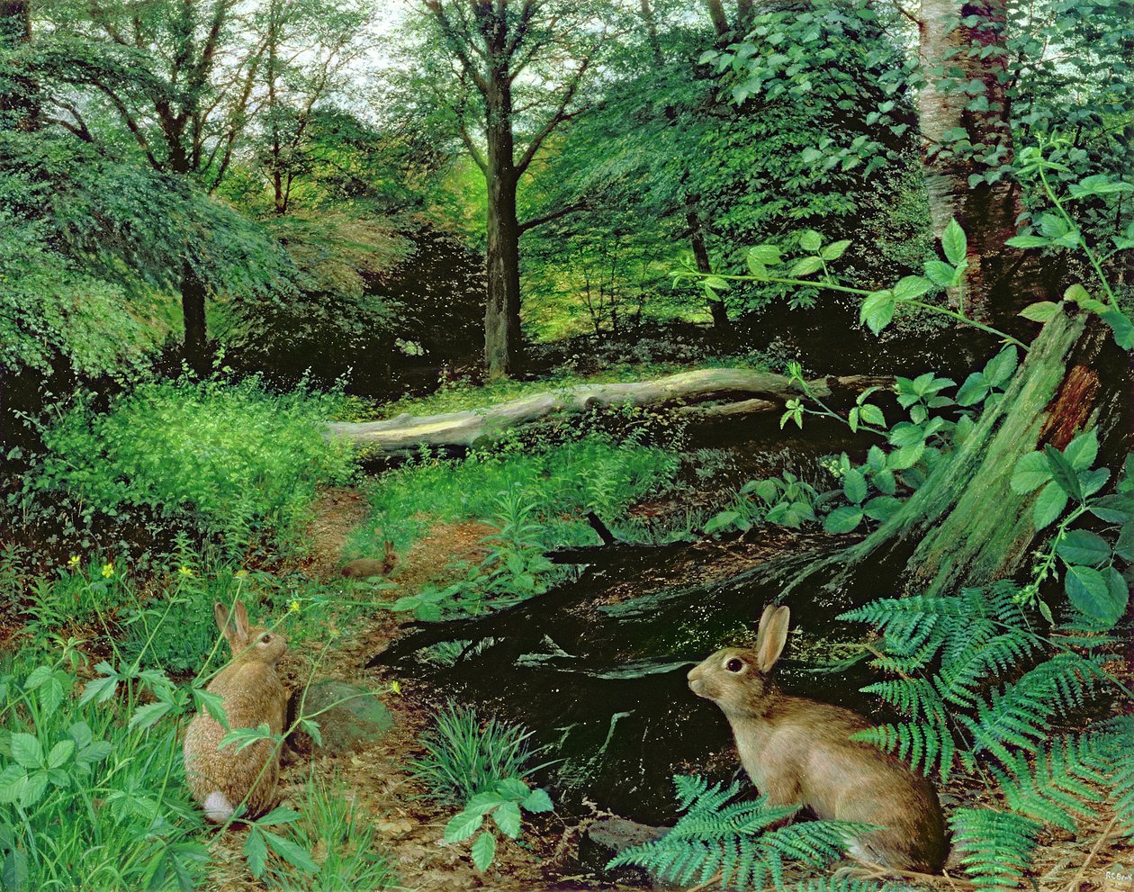  by Raymond Booth