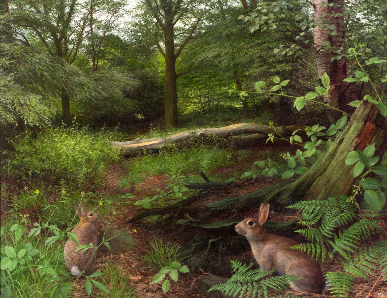  by Raymond Booth