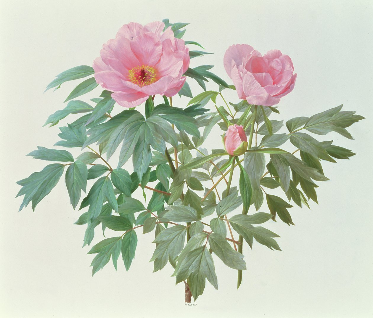  by Raymond Booth