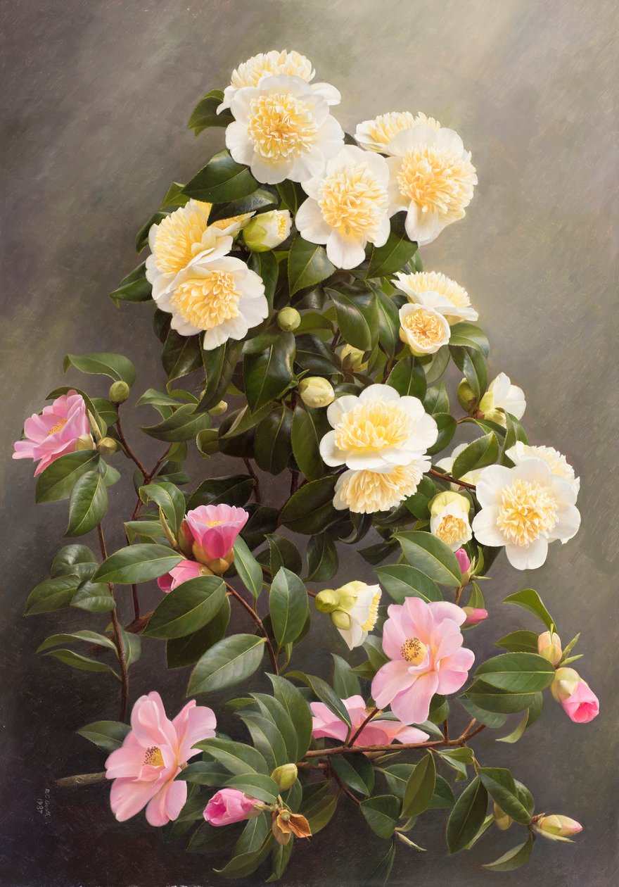  by Raymond Booth
