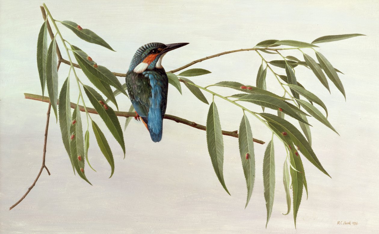  by Raymond Booth