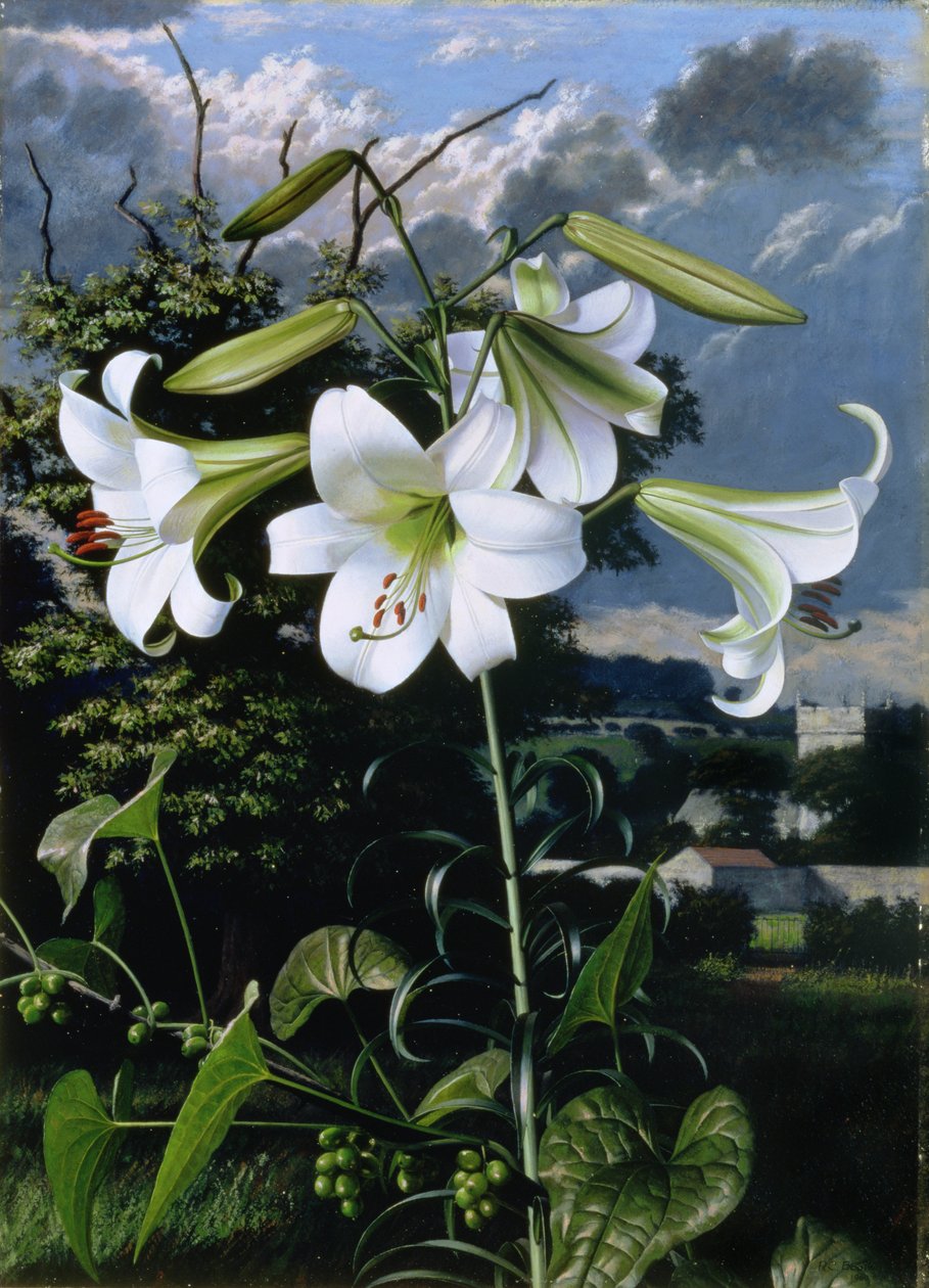  by Raymond Booth