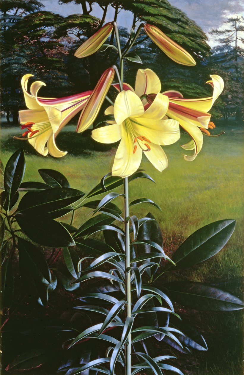  by Raymond Booth