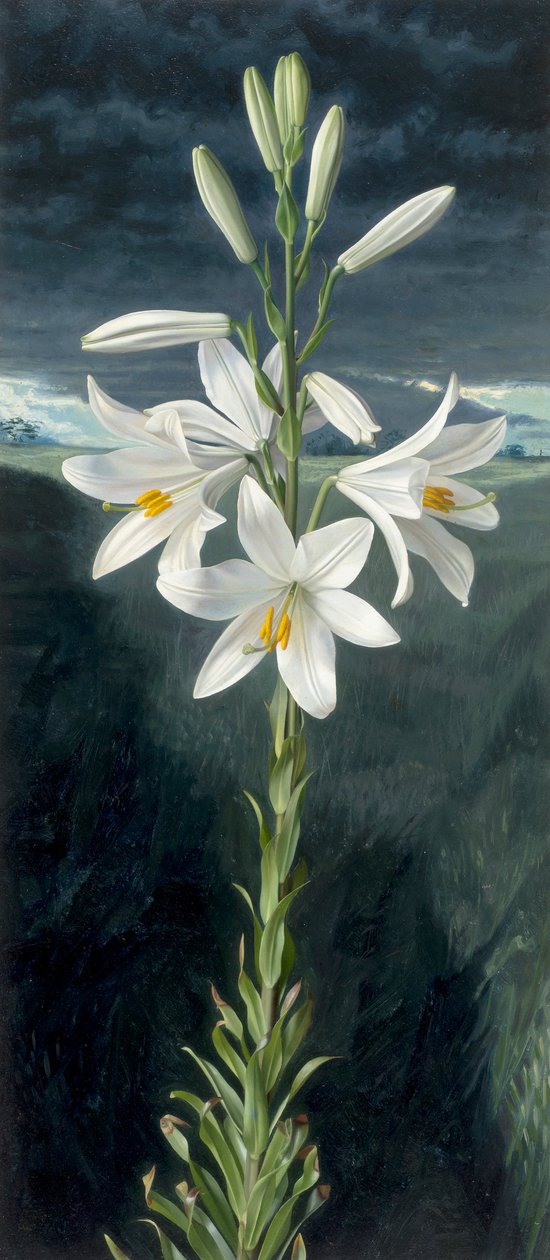  by Raymond Booth