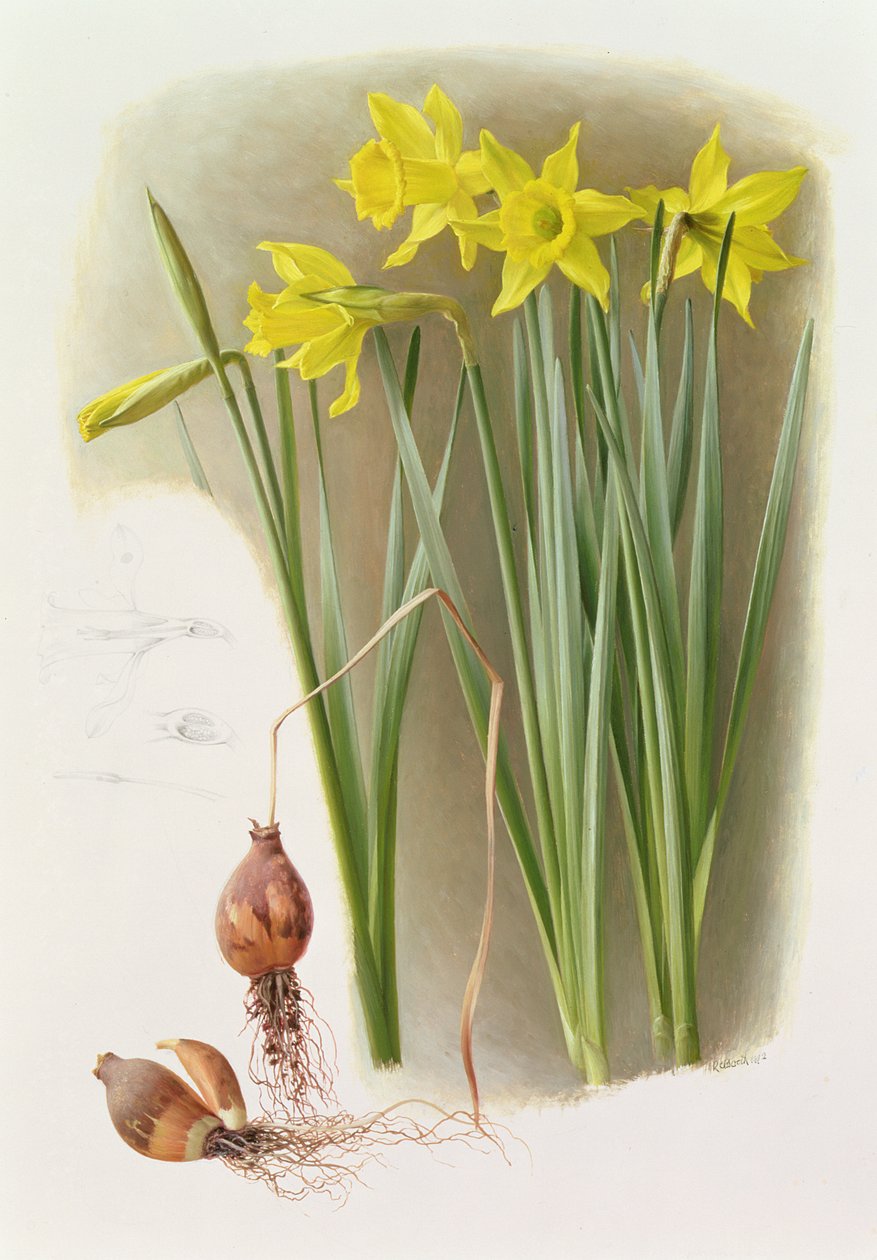  by Raymond Booth