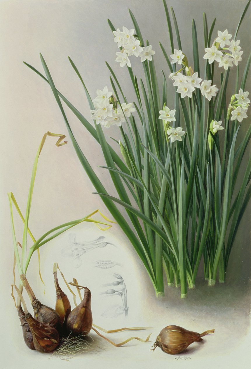  by Raymond Booth