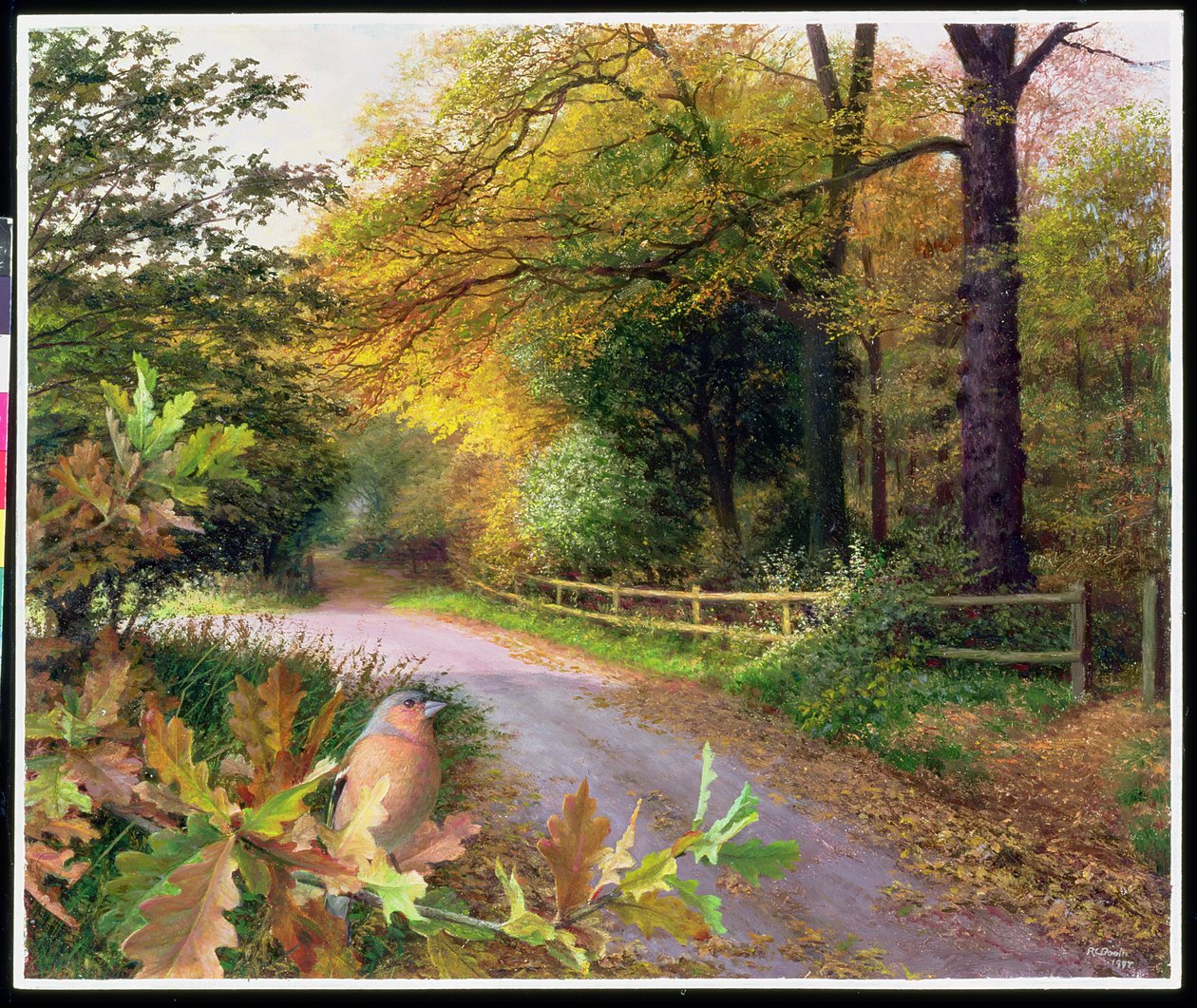  by Raymond Booth